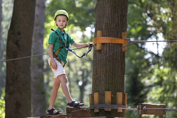 Young child boy in safety harness and helmet attached with carbine to cable moves confidently along rope way in recreation park on green foliage sunny bokeh background. Sport, game, leisure concept.