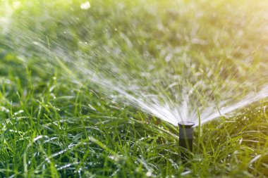 Çimenli su fıskiyesi sıcak yaz günlerinde bahçedeki yeşil çimlerin üzerine su püskürtür. Otomatik sulama ekipmanları, bahçe bakımı, bahçe ve araç gereç kavramı.