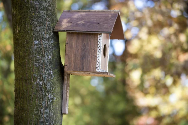 Новый Коричневый Птичий Домик Гнездо Прикрепленное Стволу Дерева Летнем Парке — стоковое фото