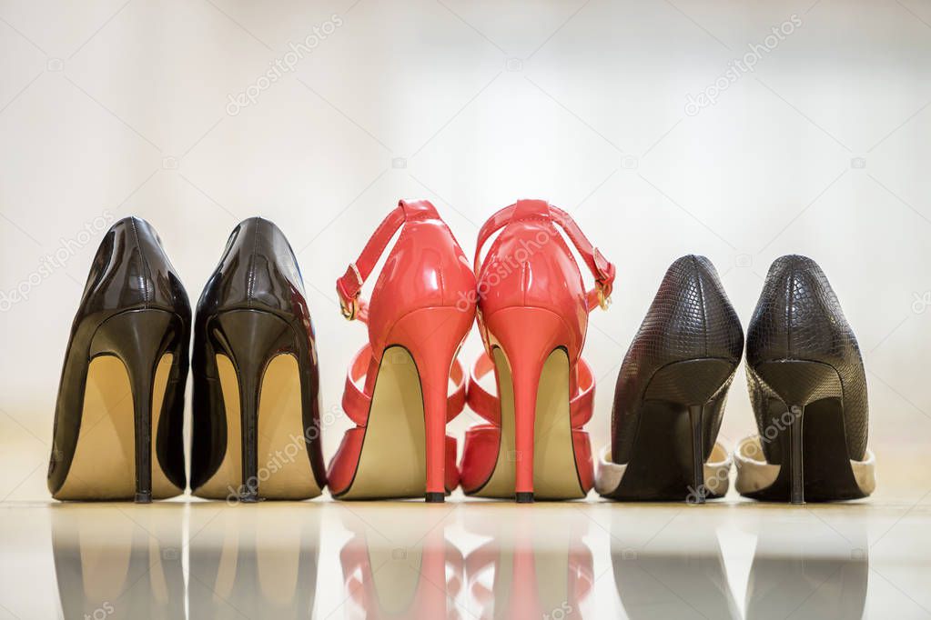 Back view of three pairs of fashionable comfortable high heel leather female shoes isolated on light copy space background. Style and fashion, modern footwear concept.