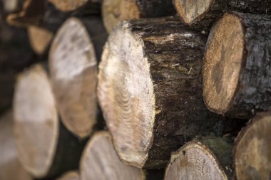 Düzgün bir şekilde doğranmış mayo yığını açık havada Kazıklı parlak güneşli bir günde, arka plan, yangın ahşap günlükleri kış, yazmak için hazır hazır. Çevre koruma kavramı.