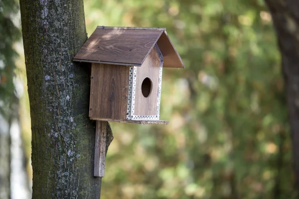 Casa Legno Marrone Nuovo Uccello Scatola Nidificazione Attaccato Tronco Albero — Foto Stock