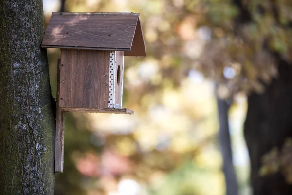 Drewniane Brązowy Nowy Dom Ptak Lub Gniazdowania Pole Dołączone Pnia — Zdjęcie stockowe