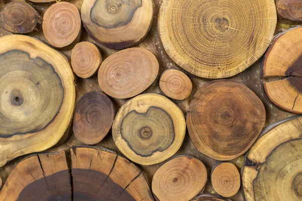 Round wooden unpainted solid natural ecological soft colored brown and yellow crackled stumps background, tree cut sections with annual rings different sizes and forms, background texture.