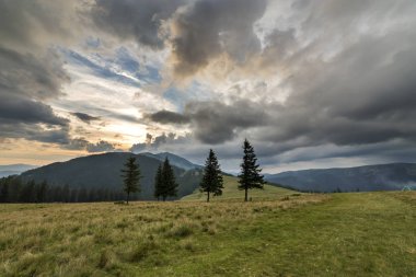 Panoramik yaz görünümü uzak odunsu dağ zinciri altında koyu mavi bulutlu gökyüzü günbatımı veya gündoğumu, yeşil çimenli Vadisi izole çam ağaçlarının. Kavram seyahat turizm, doğanın güzelliği.