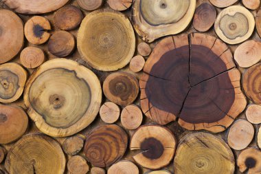 Yuvarlak ahşap boyanmamış sağlam doğal ekolojik yumuşak kahverengi renkli ve sarı kütükleri arka plan ağaç bölümler pad mat arka plan doku için farklı boyutlarda kesti. It Yourself sanat kavramı yapmak.