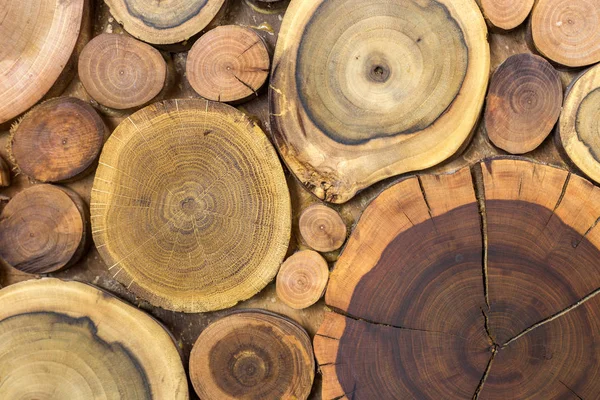 Round wooden unpainted solid natural ecological soft colored brown and yellow crackled stumps background, tree cut sections with annual rings different sizes and forms, background texture.