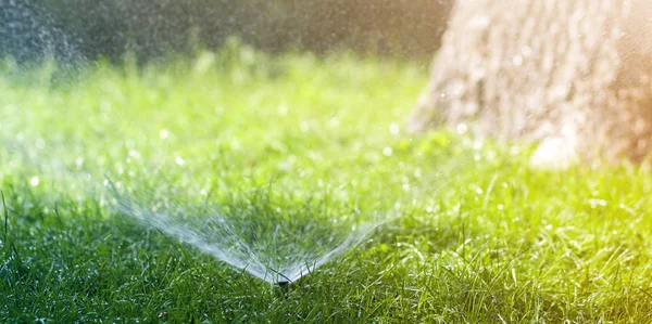 Lawn water sprinkler spraying water over lawn green fresh grass in garden or backyard on hot summer day. Automatic watering equipment, lawn maintenance, gardening and tools concept.