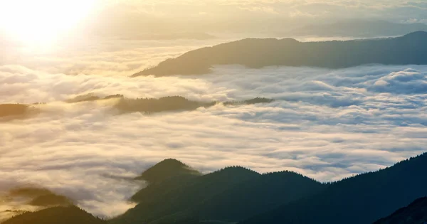 Fantástica Vista Del Valle Montaña Cubierto Nubes Blancas Bajas Hinchadas —  Fotos de Stock