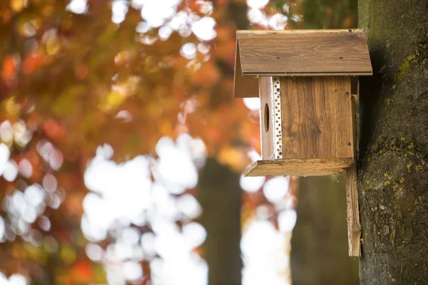 Wooden Brown New Bird House Nesting Box Attached Tree Trunk — стоковое фото