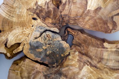 Ağaç kesme dilim Bölüm, düzensiz şekli, doğal doku, yumuşak renkli kahverengi ve sarı güdük doğal vintage eski renkli arka plan kırık. It Yourself sanat kavramı yapmak.