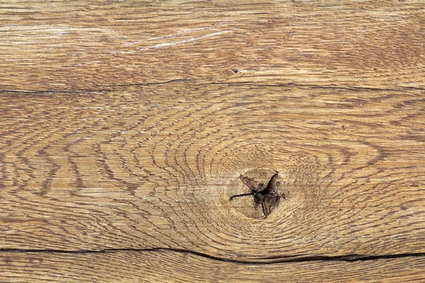 Närbild Naturliga Mjuk Gul Gyllene Brun Yta Trä Parkett Plankor — Stockfoto