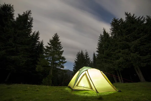 Tourist Hikers Tent Brightly Lit Green Grassy Forest Clearing Tall — Stock Photo, Image