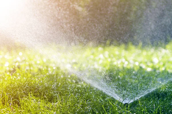 芝生の水スプリンクラーは 暑い夏の日に庭や裏庭で芝生の緑の新鮮な草の上に水を噴霧します 自動散水装置 芝生のメンテナンス 園芸やツールの概念 — ストック写真