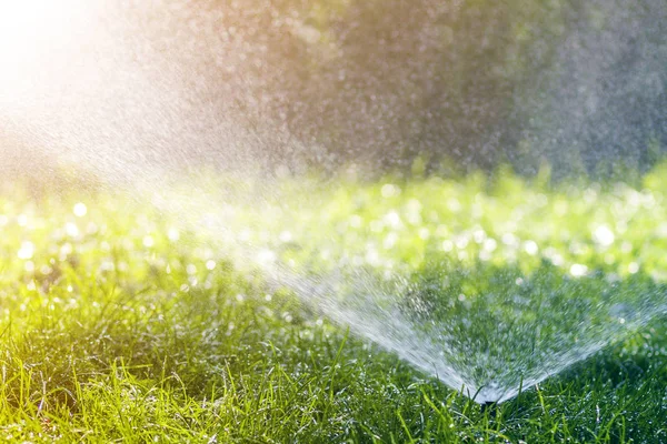 Graswater Sproeier Sproeien Water Gazon Groen Vers Gras Tuin Achtertuin — Stockfoto