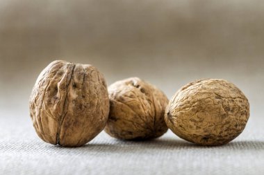 Ceviz ahşap kabuk ışık kopya alan arka plan üzerinde izole Close-up. Sağlıklı lezzetli organik gıda kavramı.