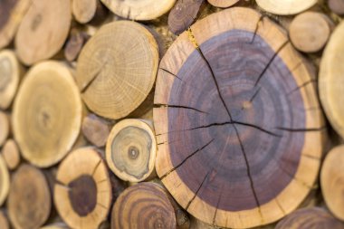 Perspektif görünümü yuvarlak ahşap boyanmamış sağlam doğal ekolojik yumuşak kahverengi renkli ve sarı crackled kütükleri arka plan, yıllık halkaları farklı boyutlarda, arka plan doku bölümlerle ağaç kesmek.