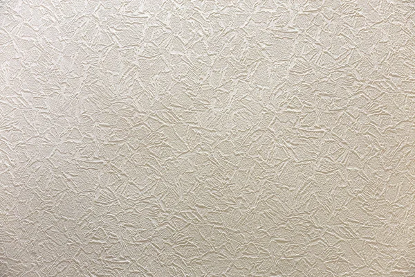 Beyaz Sıva Duvar Düz Yüzey Doğal Çimento Veya Taş Gri — Stok fotoğraf