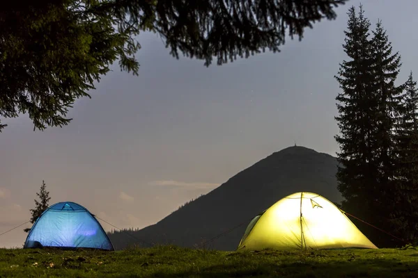 Two Brightly Lit Tourist Tents Green Grassy Forest Clearing Dark — Stock Photo, Image