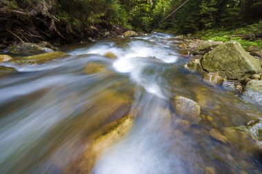 Büyük ıslak düşen kristal berraklığında yumuşak ipeksi su ile hızlı vahşi yeşil orman Nehri akan güzel şelaleler üzerinde parlak güneşli yaz günü taşlar. Uzun pozlama vurdu.