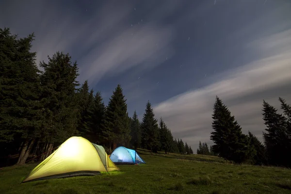 Deux tentes touristiques brillamment éclairées sur une forêt verdoyante et herbeuse défrichée parmi les grands pins sur fond clair de ciel étoilé bleu foncé. Tourisme, nuit camping dans les montagnes d'été, concept beauté de la nature . — Photo