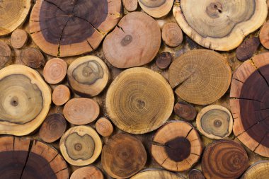 Yuvarlak ahşap boyanmamış sağlam doğal ekolojik yumuşak renkli bro