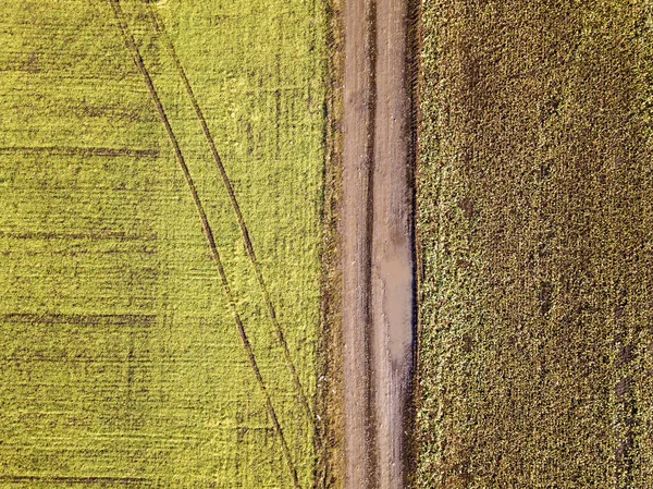 Zemědělské krajiny ze vzduchu. Rovný úzký pozemní silniční bet — Stock fotografie