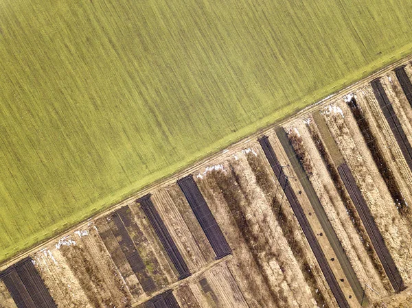 空気からの農業風景。まっすぐ狭い地上道路ベット — ストック写真