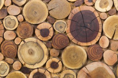 Yuvarlak ahşap boyanmamış sağlam doğal ekolojik yumuşak renkli bro