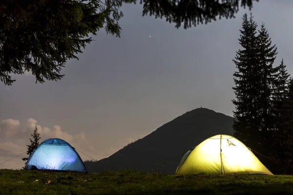 Zwei hell erleuchtete Touristenzelte auf einer grünen Waldlichtung — Stockfoto