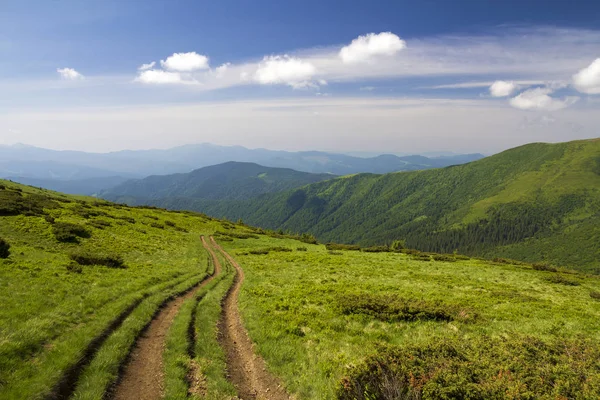 Vuil auto track op groen met gras begroeide heuvel leidt tot het bosrijke bergen ridge op heldere blauwe hemel kopie ruimte achtergrond. Toerisme en reizen concept. — Stockfoto