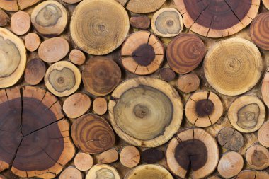 Yuvarlak ahşap boyanmamış sağlam doğal ekolojik yumuşak renkli bro