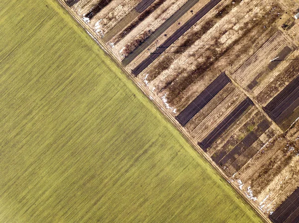 Agrarlandschaft aus der Luft. gerade, schmale Straße zwischen sonnigem Grün, trockenen und braun gepflügten Feldern. — Stockfoto