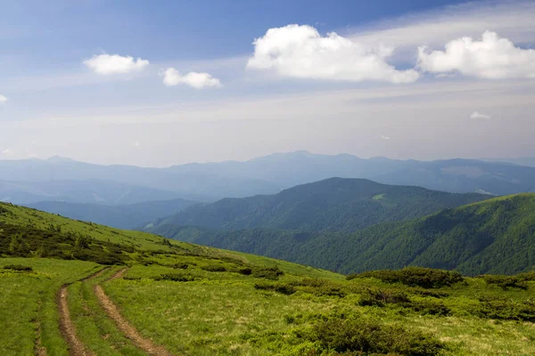 Vuil auto track op groen met gras begroeide heuvel leidt tot het bosrijke bergen r — Stockfoto
