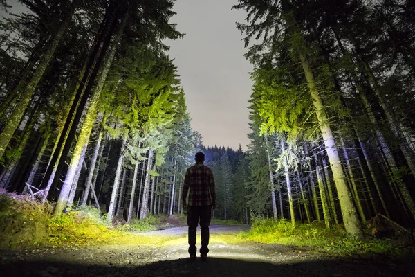 Visão traseira do homem com lanterna de cabeça em pé no chão da floresta — Fotografia de Stock