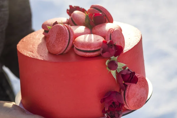 Manos femeninas sosteniendo plato con delicioso delicioso cak rojo casero — Foto de Stock