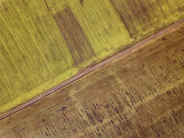 Αγροτικό τοπίο από τον αέρα. Δρόμο ευθεία στενό έδαφος μεταξύ sunny πεδία πράσινο και καφέ. — Φωτογραφία Αρχείου