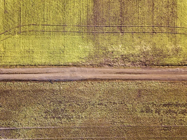 Paisaje agrícola desde el aire. Derecho estrecho camino de tierra apuesta — Foto de Stock