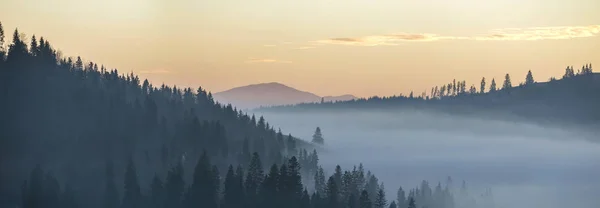 夏季的山景观。早晨雾在蓝色山山 — 图库照片