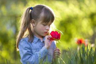 Gri gözlü ve lon ile sevimli güzel gülümseyen çocuk kız profili