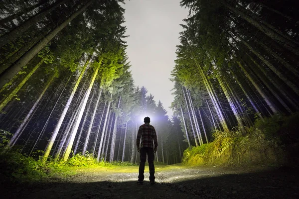 Widok człowieka z głowy latarka stojący z tyłu na leśnej drodze ziemi wśród wysokich świerków jasno podświetlony pod piękny ciemny niebieski niebo. Nocny krajobraz drewna i przygoda. — Zdjęcie stockowe