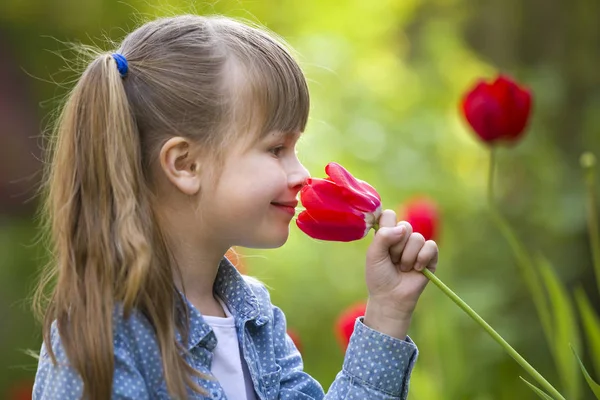 Gri gözlü ve lon ile sevimli güzel gülümseyen çocuk kız profili