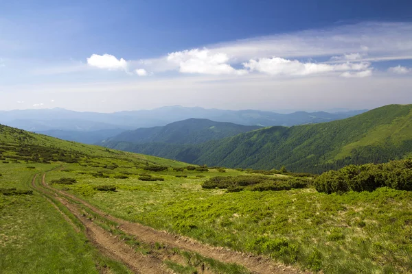 Vuil auto track op groen met gras begroeide heuvel leidt tot het bosrijke bergen r — Stockfoto