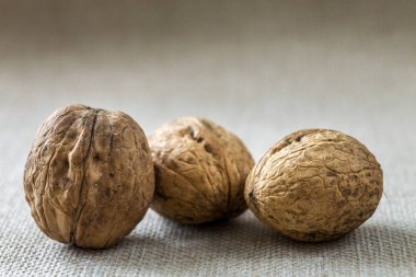 Ceviz ahşap kabuk ışık kopya alan arka plan üzerinde izole Close-up. Sağlıklı lezzetli organik gıda kavramı.