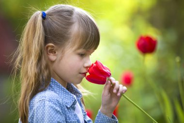 Gri gözlü ve lon ile sevimli güzel gülümseyen çocuk kız profili