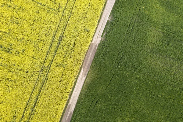 Aerial view of straight ground road in green and yellow fields w — Stock Photo, Image