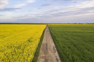 Yeşil f yağmur su birikintileri ile düz zemin yol havadan görünümü