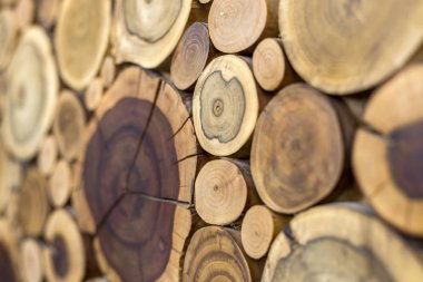 Yuvarlak ahşap boyanmamış masif doğal ecologi perspektif görünümü