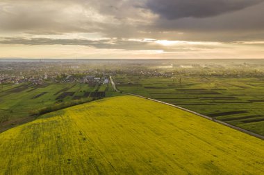 İlkbahar veya yaz günlerinde kırsal manzara. Yeşilin havadan görünümü, p