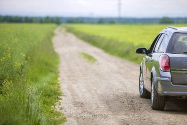 Yeşil alanda toprak yolda bir araba.